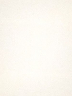 플레인 아이보리 9601