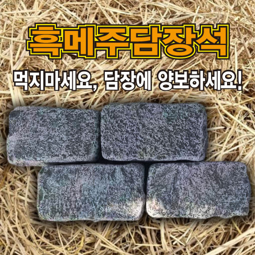 강화-흑메주담장석